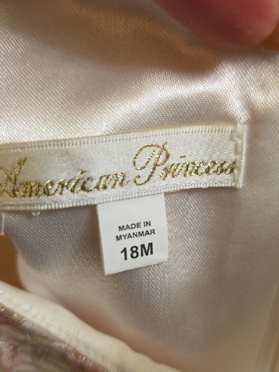 American Princess White and Light Pink Tulle Floral Bodice Party Dress Size 18m - Picture 4 of 4